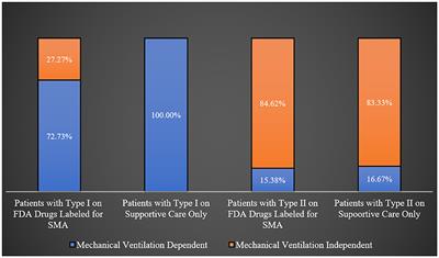 The socioeconomic burden of spinal muscular atrophy in Saudi Arabia: a cross-sectional pilot study